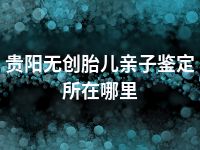 贵阳无创胎儿亲子鉴定所在哪里