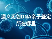 遵义无创DNA亲子鉴定所在哪里