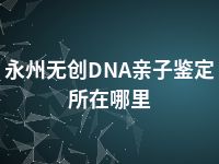 永州无创DNA亲子鉴定所在哪里