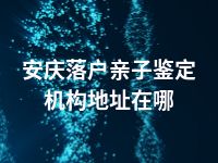 安庆落户亲子鉴定机构地址在哪