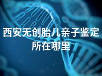 西安无创胎儿亲子鉴定所在哪里