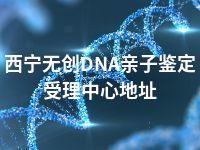 西宁无创DNA亲子鉴定受理中心地址