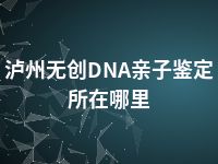 泸州无创DNA亲子鉴定所在哪里