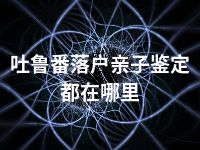 吐鲁番落户亲子鉴定都在哪里