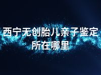 西宁无创胎儿亲子鉴定所在哪里