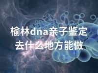 榆林dna亲子鉴定去什么地方能做