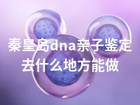 秦皇岛dna亲子鉴定去什么地方能做