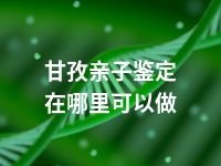 甘孜亲子鉴定在哪里可以做