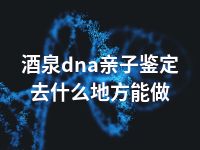 酒泉dna亲子鉴定去什么地方能做