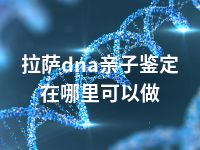 拉萨dna亲子鉴定在哪里可以做