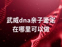 武威dna亲子鉴定在哪里可以做