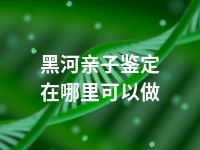 黑河亲子鉴定在哪里可以做