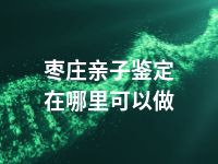 枣庄亲子鉴定在哪里可以做