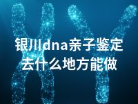 银川dna亲子鉴定去什么地方能做