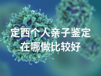 定西个人亲子鉴定在哪做比较好