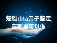 楚雄dna亲子鉴定在哪里可以做