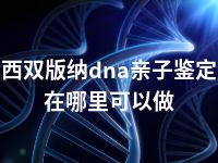 西双版纳dna亲子鉴定在哪里可以做