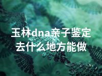 玉林dna亲子鉴定去什么地方能做