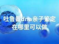 吐鲁番dna亲子鉴定在哪里可以做