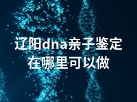 辽阳dna亲子鉴定在哪里可以做