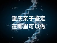 肇庆亲子鉴定在哪里可以做