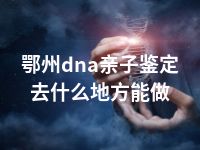 鄂州dna亲子鉴定去什么地方能做