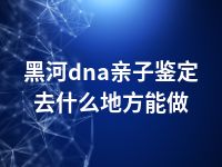 黑河dna亲子鉴定去什么地方能做