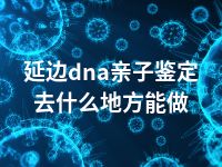 延边dna亲子鉴定去什么地方能做