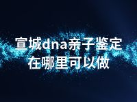 宣城dna亲子鉴定在哪里可以做