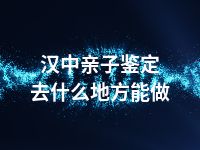 汉中亲子鉴定去什么地方能做