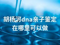 胡杨河dna亲子鉴定在哪里可以做