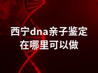 西宁dna亲子鉴定在哪里可以做