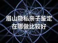 眉山隐私亲子鉴定在哪做比较好