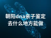 朝阳dna亲子鉴定去什么地方能做