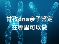 甘孜dna亲子鉴定在哪里可以做