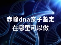 赤峰dna亲子鉴定在哪里可以做