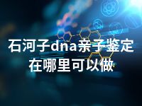 石河子dna亲子鉴定在哪里可以做