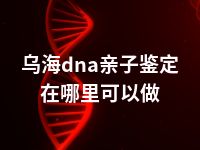 乌海dna亲子鉴定在哪里可以做