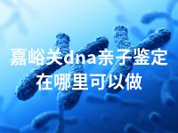 嘉峪关dna亲子鉴定在哪里可以做