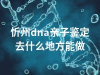 忻州dna亲子鉴定去什么地方能做