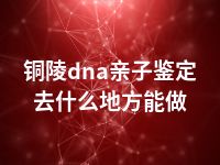 铜陵dna亲子鉴定去什么地方能做