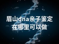 眉山dna亲子鉴定在哪里可以做