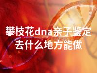 攀枝花dna亲子鉴定去什么地方能做