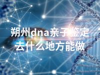 朔州dna亲子鉴定去什么地方能做