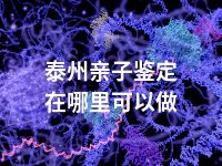 泰州亲子鉴定在哪里可以做