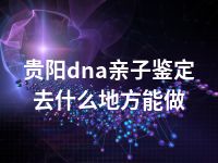 贵阳dna亲子鉴定去什么地方能做