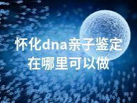 怀化dna亲子鉴定在哪里可以做