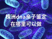 株洲dna亲子鉴定在哪里可以做