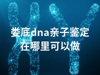 娄底dna亲子鉴定在哪里可以做