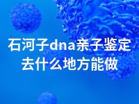 石河子dna亲子鉴定去什么地方能做